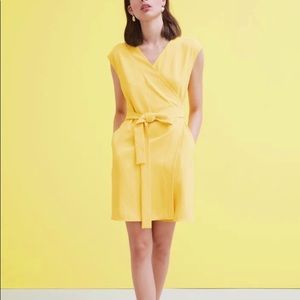 Everlane Japanese GoWeave Short Sleeve Dress